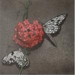 Schmetterlinge und Blütenball - Aquatintaradierung, koloriert - 15 x 15 cm - 2014 (30er Auflage)