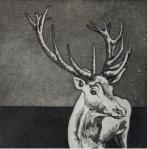 Hirsch - Aquatintaradierung - 10 x 10 cm - 2014 (20er Auflage)