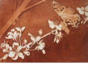 Schmetterling auf Kirschblüte - Aquatintaradierung - 15 x 20 cm - 2013 (10er Auflage)