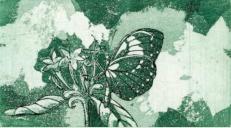 Schmetterling und Blüte - Aquatintaradierung - 5 x 10 cm - 2012 (10er Auflage)